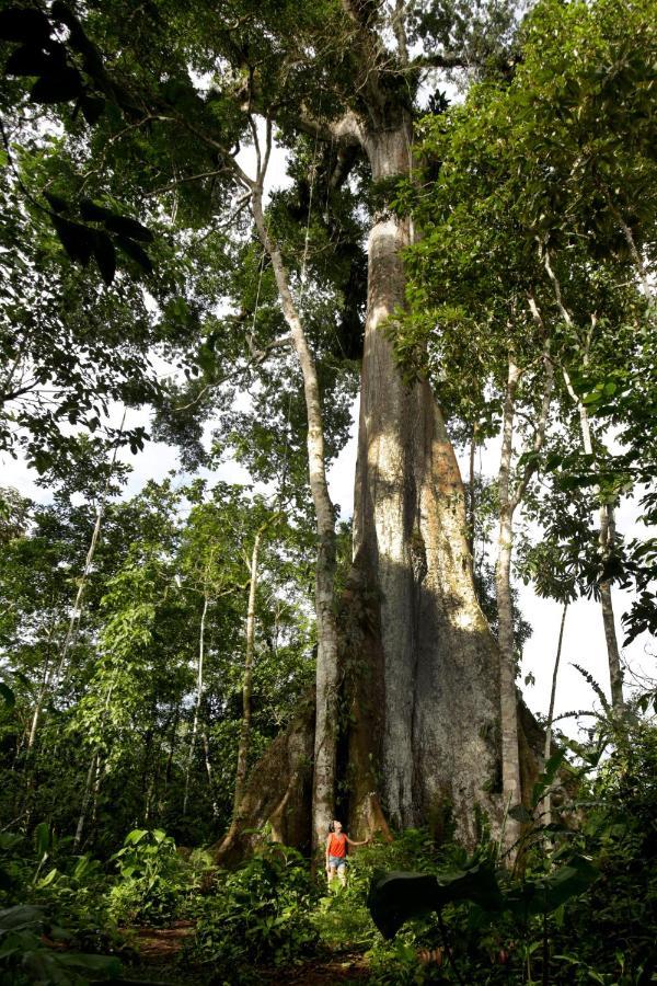 Misahualli Amazon Lodge Bagian luar foto