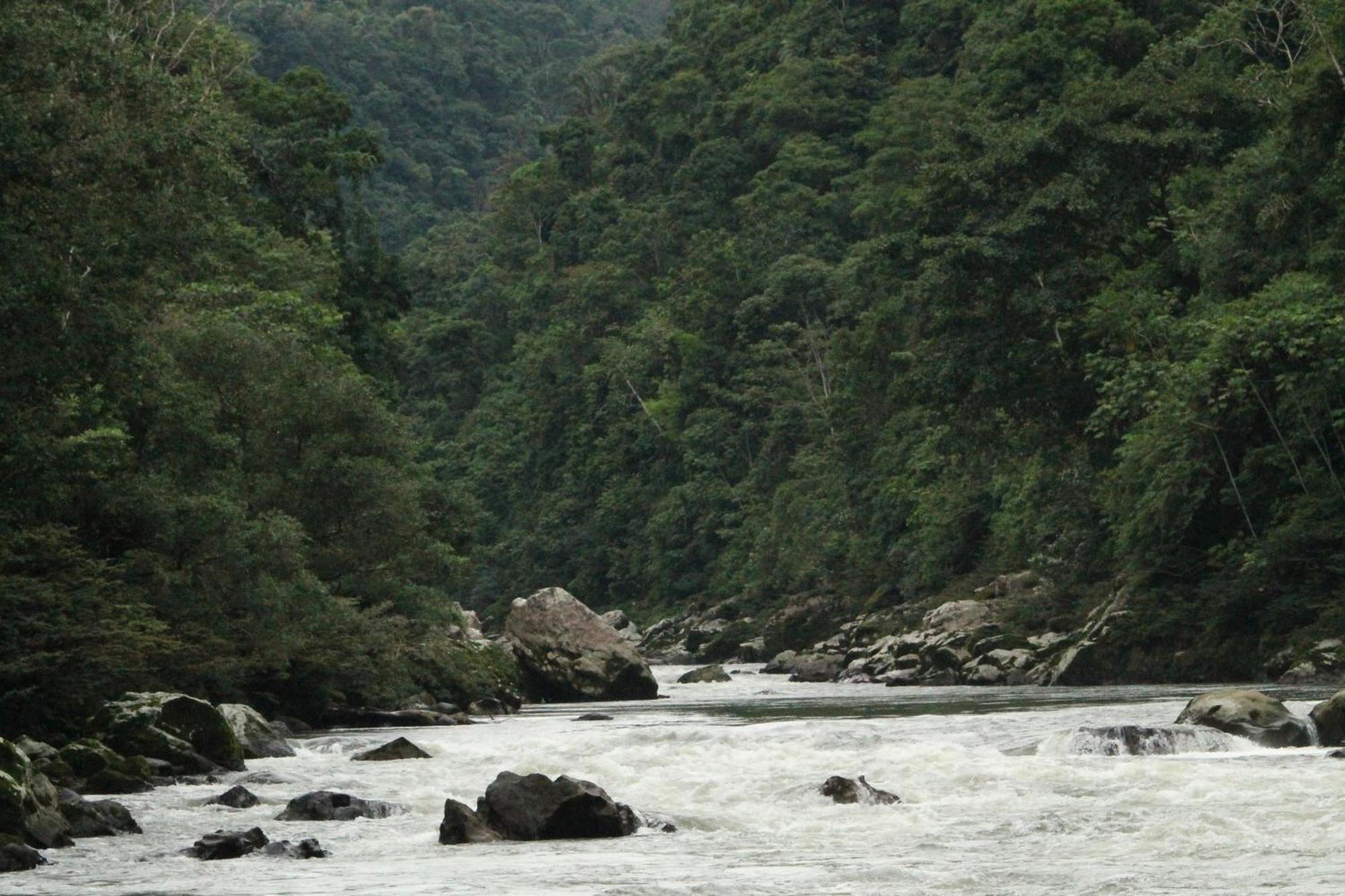 Misahualli Amazon Lodge Bagian luar foto