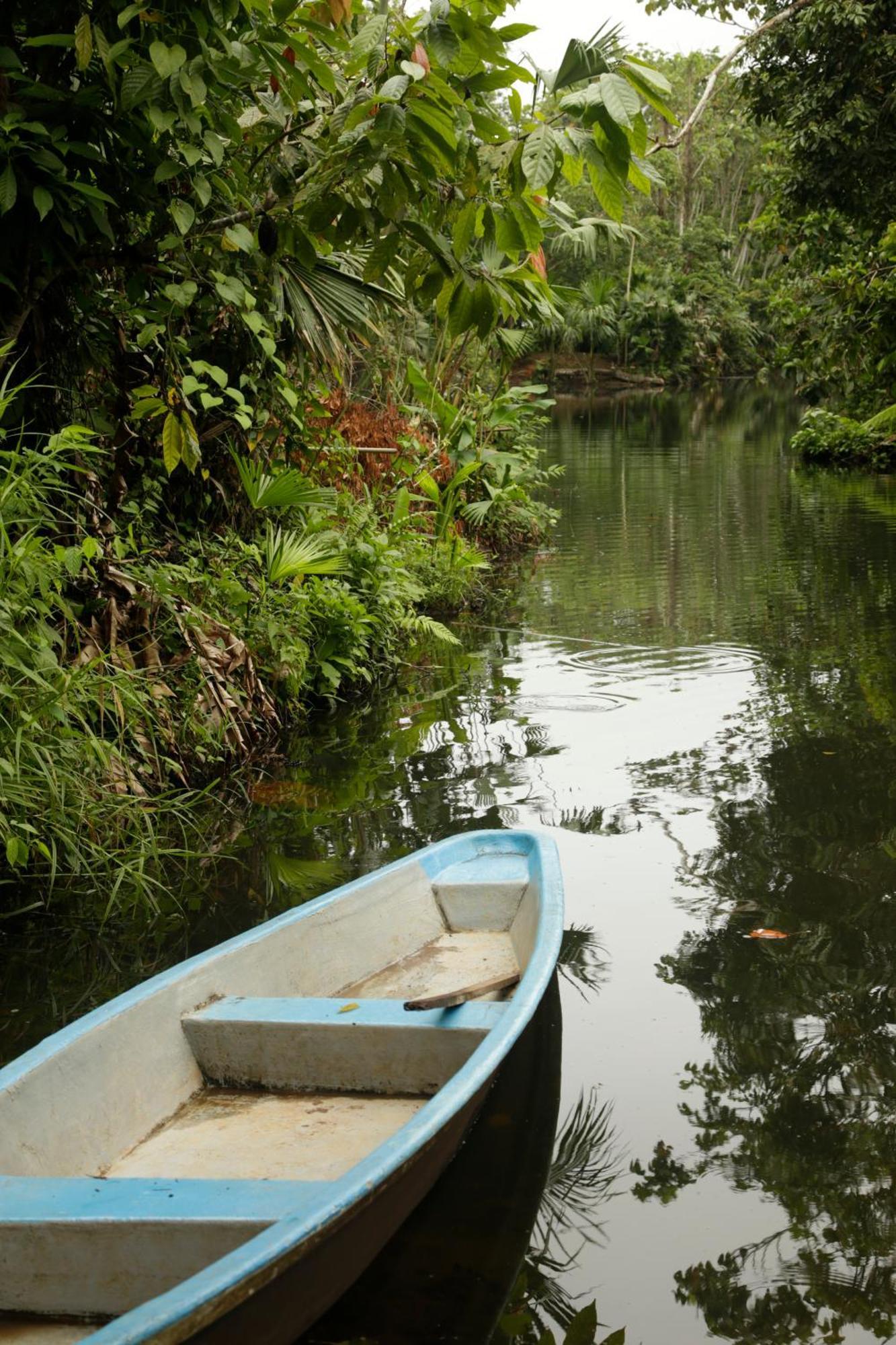 Misahualli Amazon Lodge Bagian luar foto